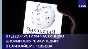 В ГД допускают блокировку ряда статей Википедии в ближайшие год-два