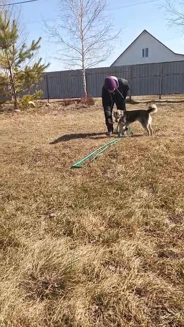 Зинаида в новой семье