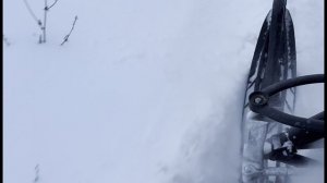 снегоходный тур 01.2026