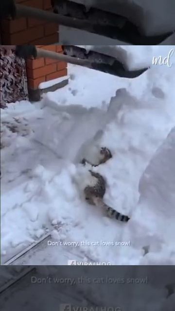 Знает толк в развлечениях смотреть онлайн