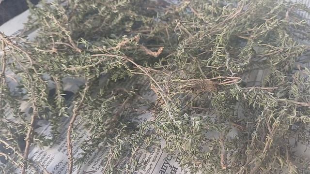 Чернобанва Л.П. 27.01.2026г. вышла подышать св.воздцхом на балкончик в Севастополе.