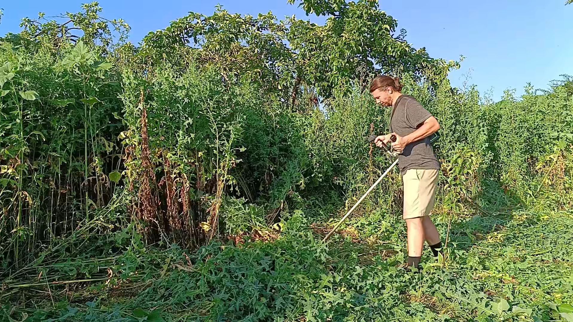 Сбор лесной малины для компота. Первый раз кошу траву в июле. смотреть онлайн