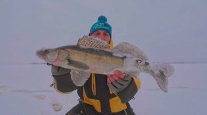 Злые поклёвки судака! ОН поймал трофейного СУДАКА мы в ШОКЕ! Зимняя рыбалка на волге ловля на виб.