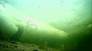 1000008425.mp4Волга.гл.2м.27.01.2026г.