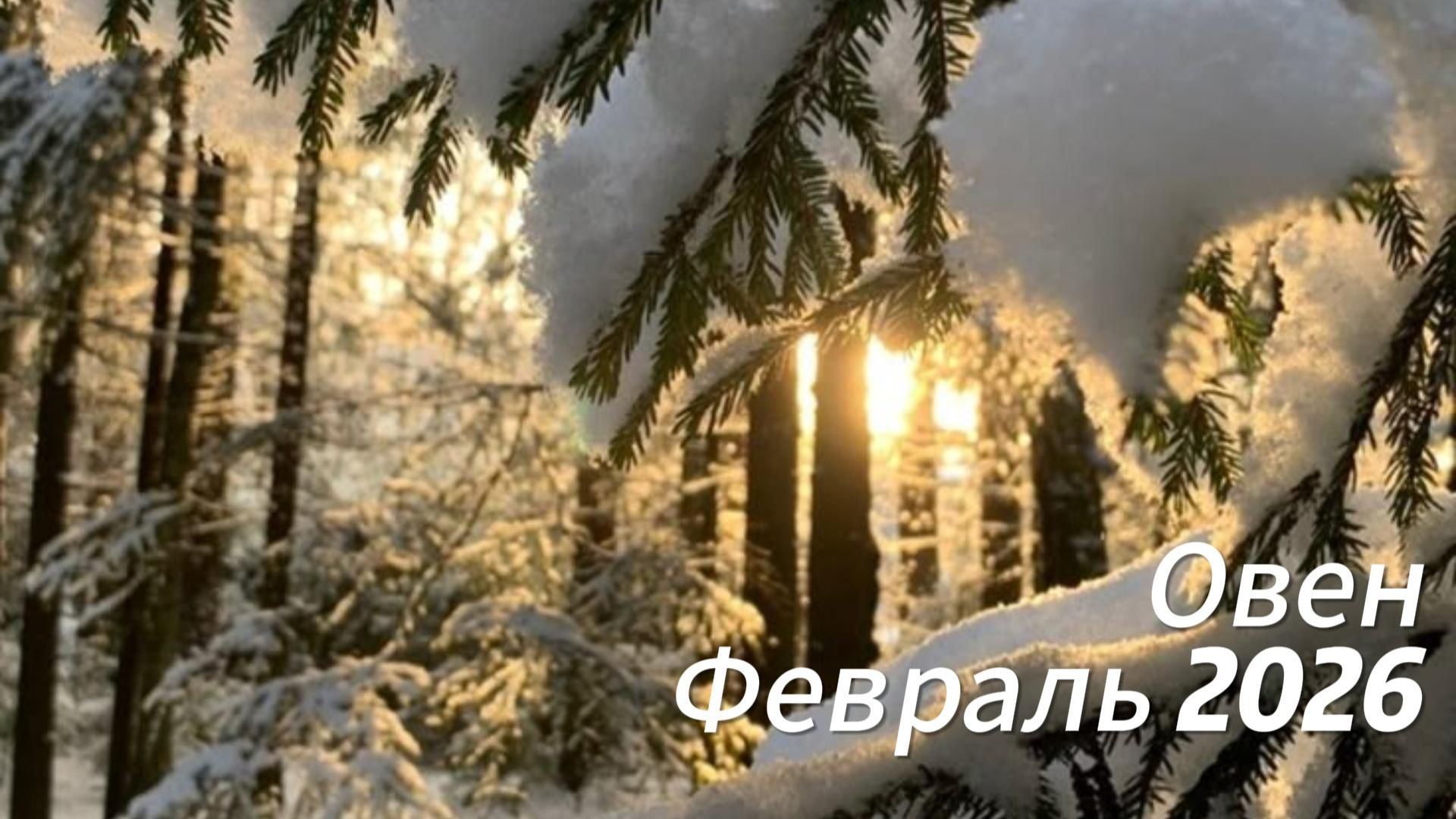 Прогноз для Овнов на Февраль 2026 смотреть онлайн