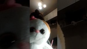 доклад о лелишкиных успехах!!!🪩🍬😺🫠