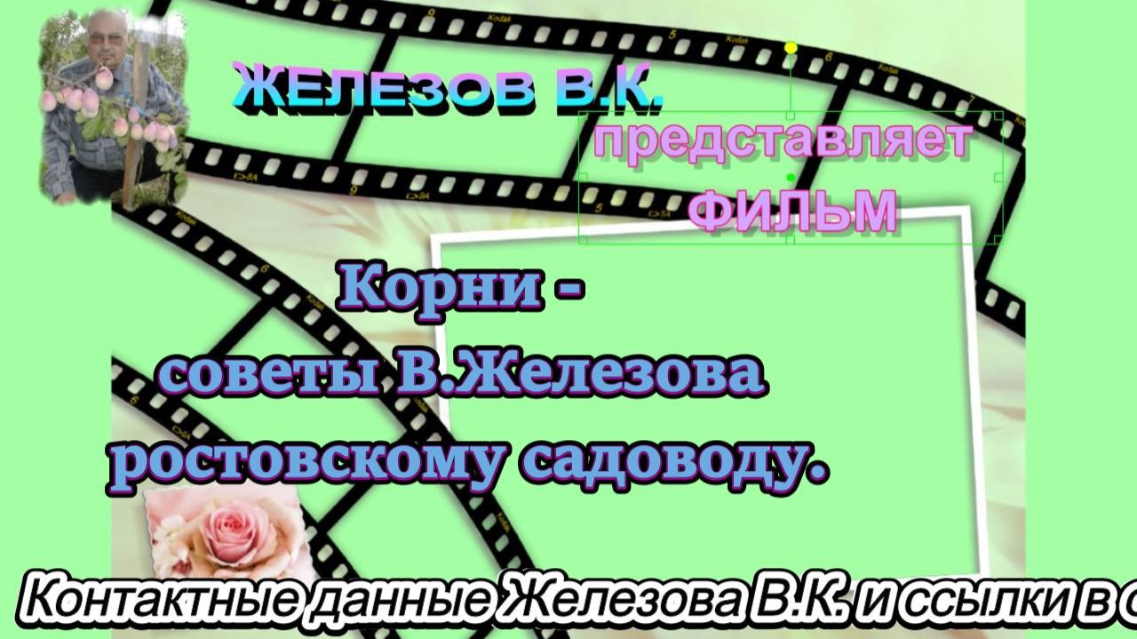 Корни - советы В.Железова ростовскому садоводу. смотреть онлайн
