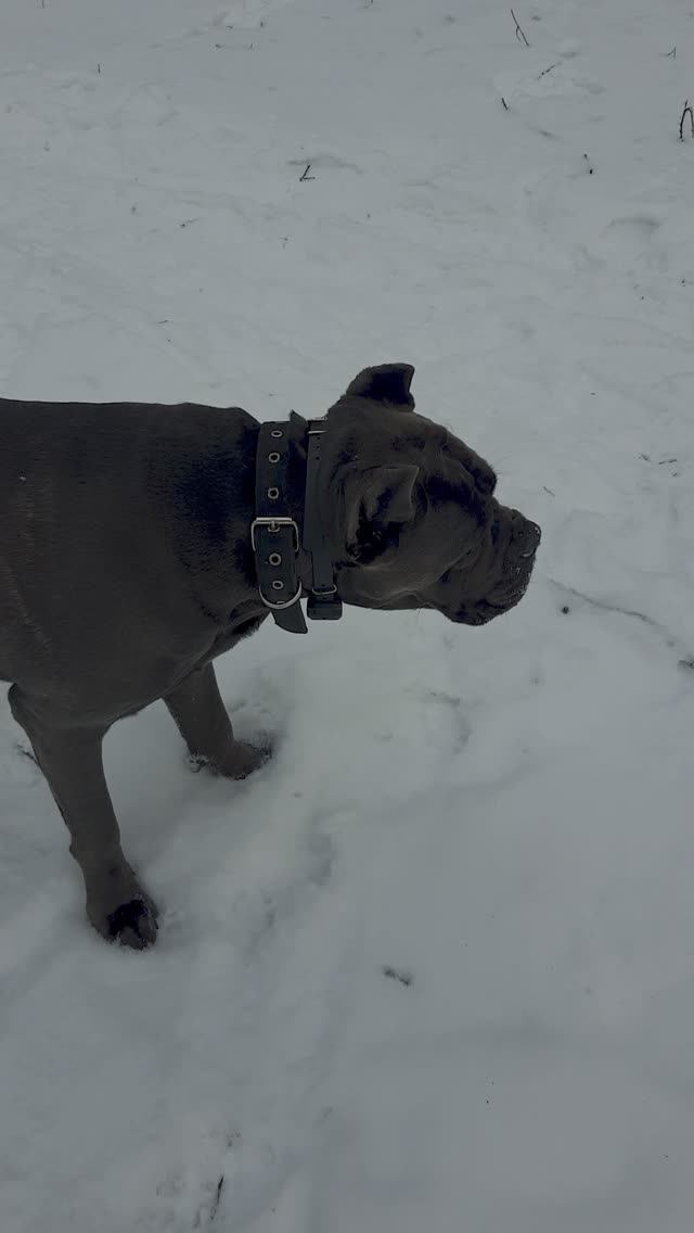 Киев 11.01.2026 г. смотреть онлайн