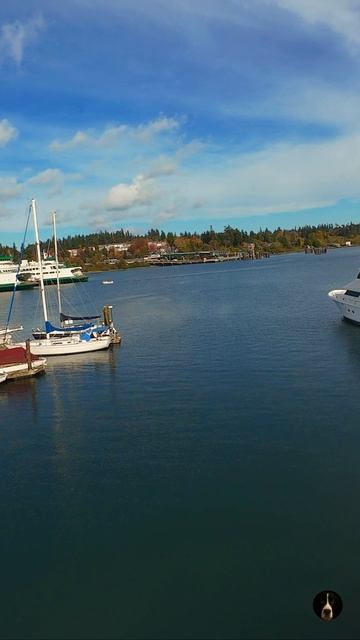 Лодки в марине — остров Бейнбридж | DJI Avata смотреть онлайн