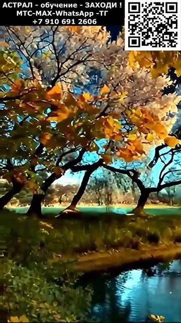 Красивый астральный Релакс #ИИ #красивый #позитивный #релакс #приятный #чудесный #вид #цветы #пейзаж смотреть онлайн