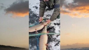 Везде сети стоят.