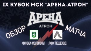 Обзор матча ФК Ока-Молоко-М-ЛФК Пешеход