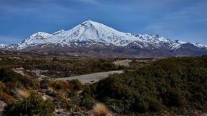 Острова с редкими животными