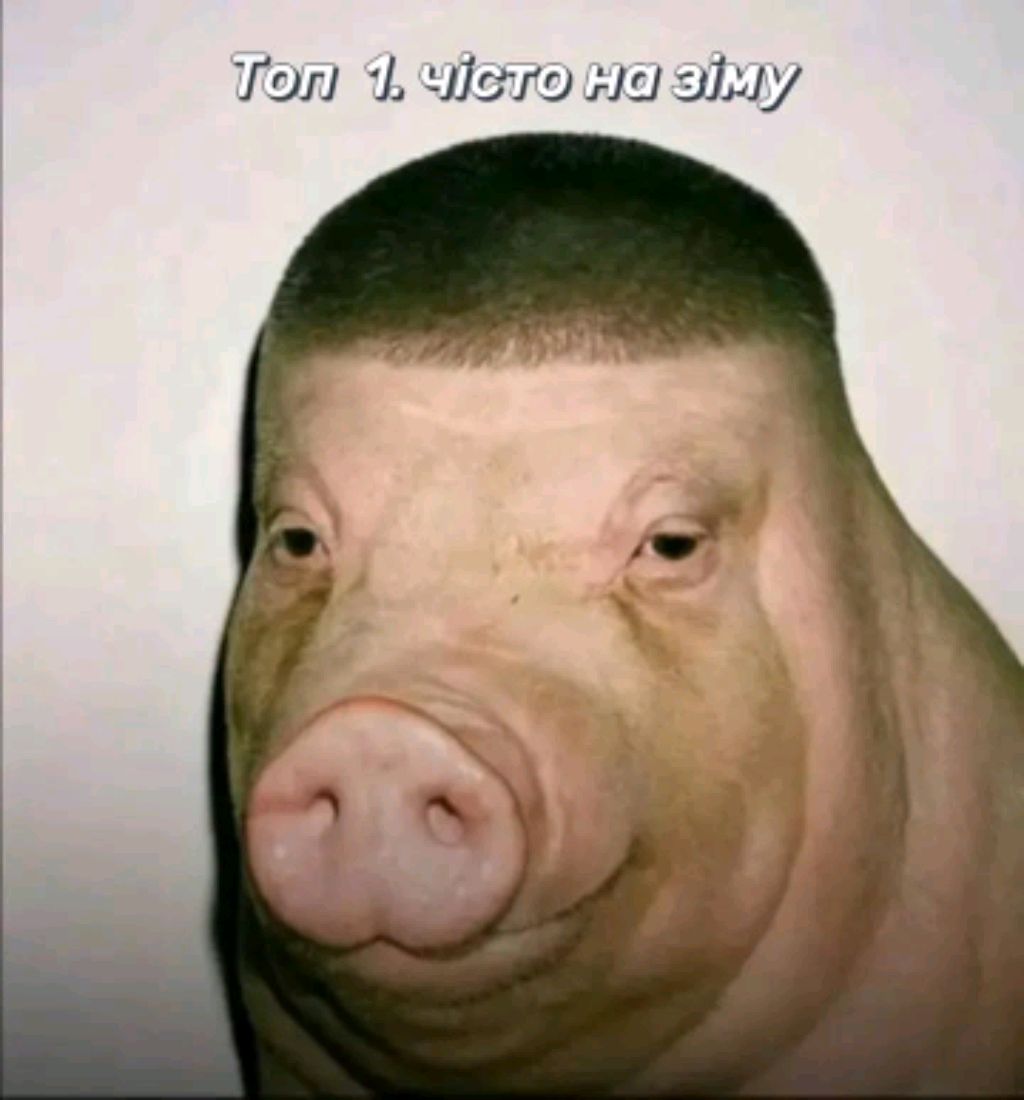 стрим смотреть онлайн