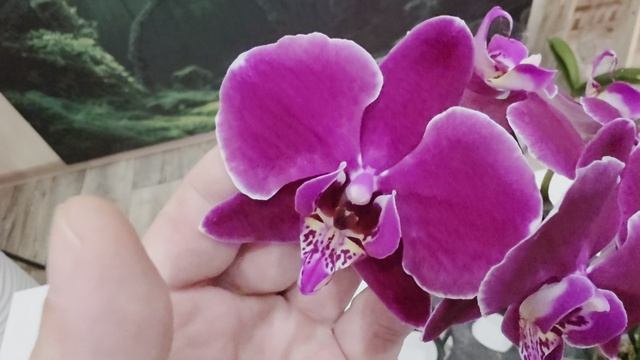 130 смотреть онлайн