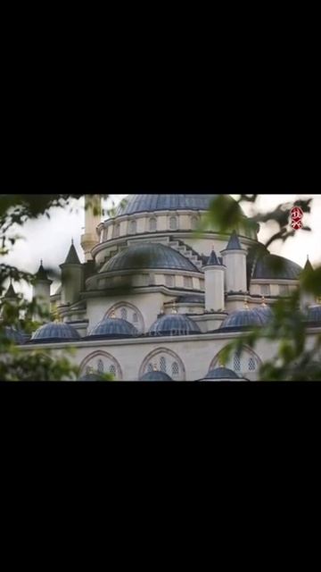 Трудитесь, чтобы попасть в Рай. Шейх Шамиль аш-Шафи'ий. смотреть онлайн