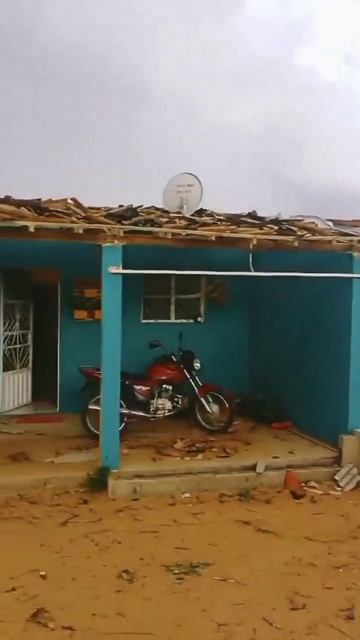 Торнадо в штате Алагоас (Бразилия, 22.02.2024). смотреть онлайн