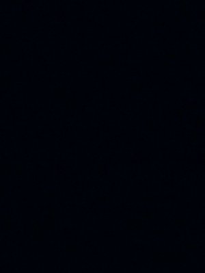 Общаюсь с чатом