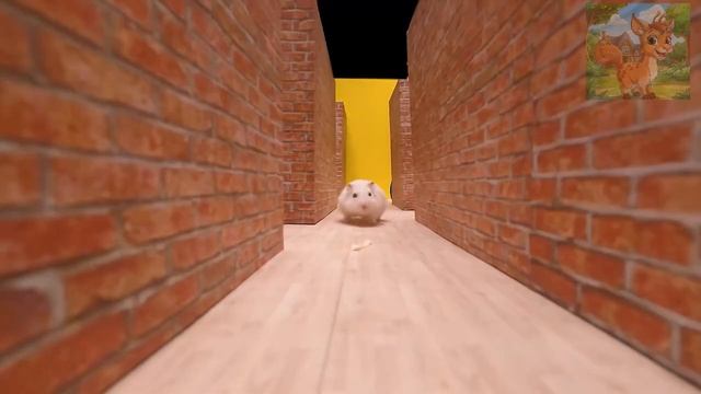 Доктор Хомяк слишком страшный! Все малыши плачут! смотреть онлайн