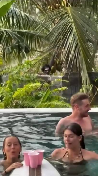 Следит за туристами смотреть онлайн