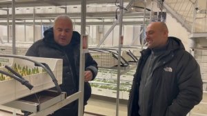 Выращивание Тюльпана 2026 год Беларусь Реанимация комплекса