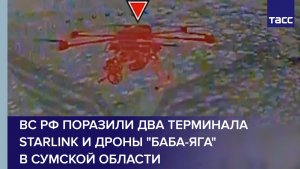 ВС РФ поразили два терминала Starlink и дроны "Баба-яга" в Сумской области