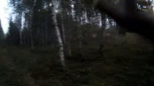 Рассказ о своем прошлом. Васильки сентябрь 2017 год