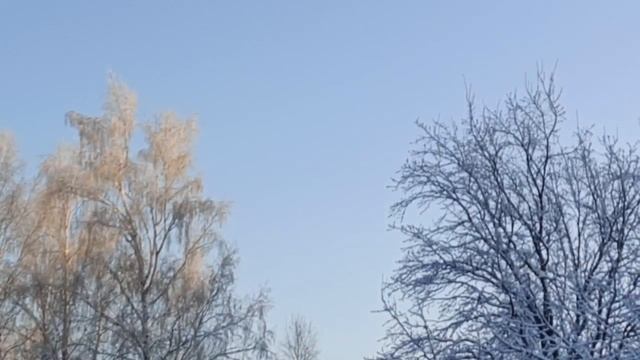В морозный солнечный день! смотреть онлайн