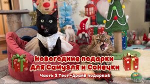 Новогодние подарки для Самуэля и Сонечки!🎁🎄 Часть 2: Тест - драйв подарков 🐾😻 #котики #подарки