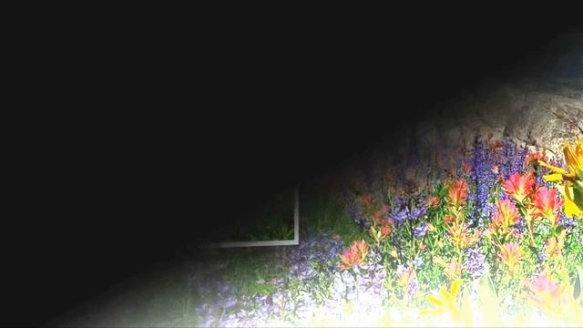 Minich - Narrow Road смотреть онлайн