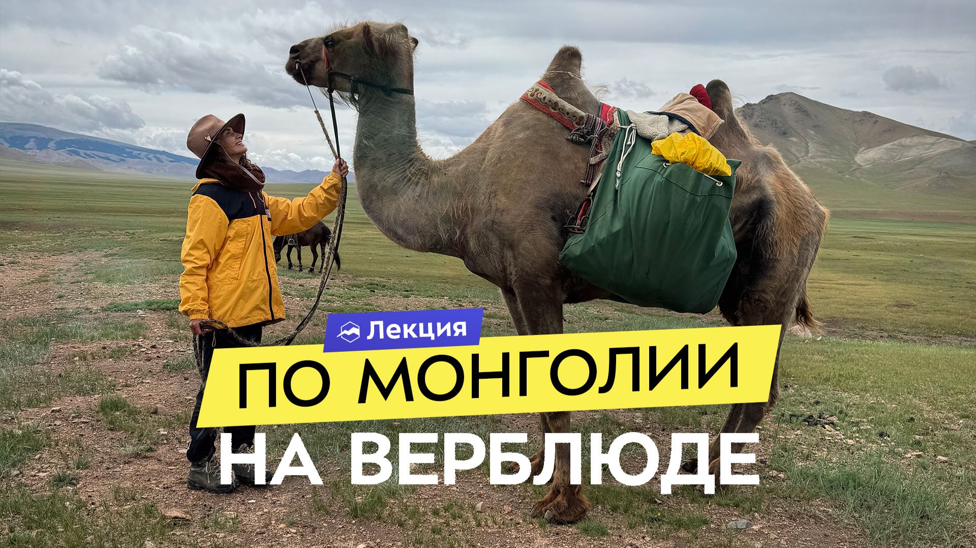 Как я купила верблюда в Монголии и отправилась на нём в путешествие смотреть онлайн