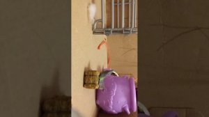 вторая часть приборка на КСК