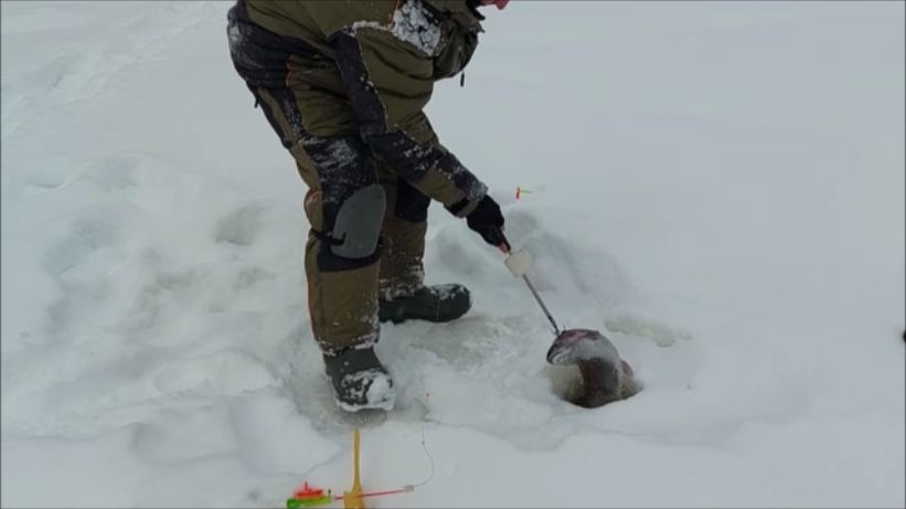 Ходовая рыбалка на верхнем водоёме. Клёвое место, Лосиный остров. смотреть онлайн