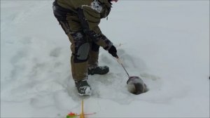 Ходовая рыбалка на верхнем водоёме. Клёвое место, Лосиный остров.