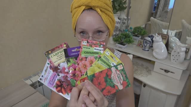 Конец января 2026 года. Посеяла петунии для майского цветения в кашпо. Второй заход. смотреть онлайн