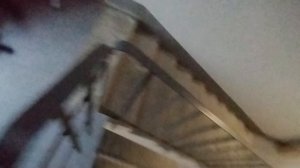 тихий информатор в пассажирском лифте. музыкальный лифт щлз экомакс от пик и просто лифт.