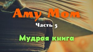 Мудрая книга. Часть 5 — Аму Мом о том, что уже завершено