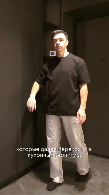 Прихожая со скрытым санузлом. смотреть онлайн