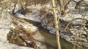 А река течёт, весна в январе