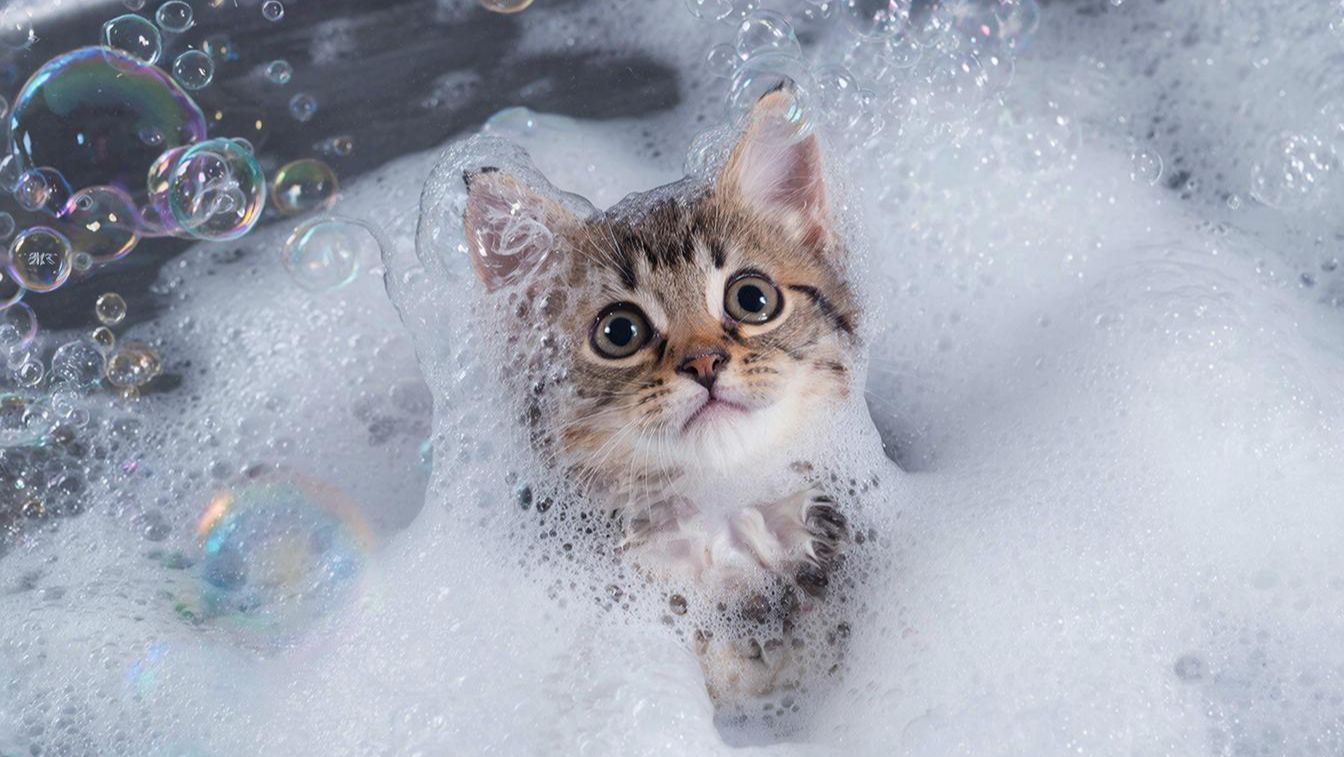 РАЗВЛЕКАТЕЛЬНОЕ ВИДЕО | ИИ | НЕЙРОСЕТЬ смотреть онлайн