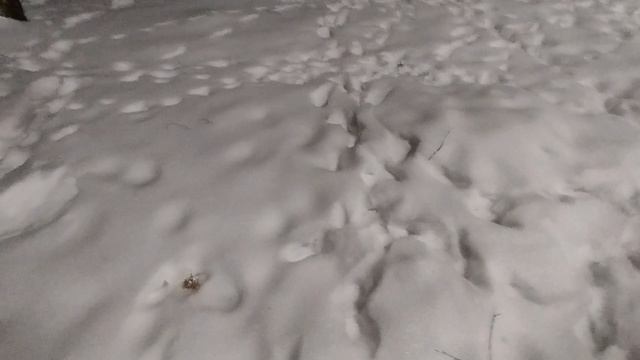 Прошёл ледяной дождь ☔
Готовимся к сильным морозам. смотреть онлайн