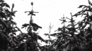 Архив ГТРК "Кузбасс". Съёмки для передачи "Тук-тук" (1975)