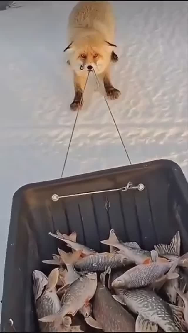 🤗 смотреть онлайн