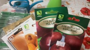 Почему посеяла лук чернушку, моя эустома.