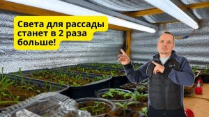 Многократно улучшаем освещение рассады БЕЗ дополнительных ламп