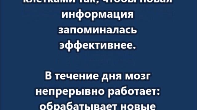 Дневной сон очищает мозг и улучшает способность к обучению смотреть онлайн