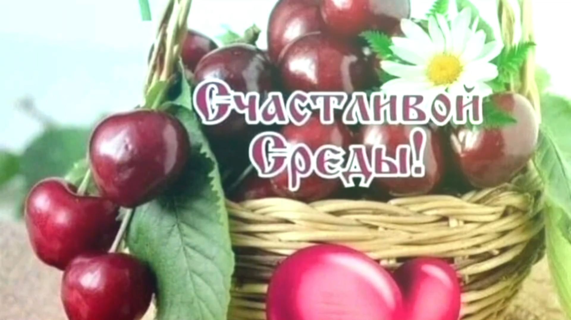 ПУСТЬ СРЕДА ДЛЯ ВАС БУДЕТ ЖЕЛАННОЙ! смотреть онлайн