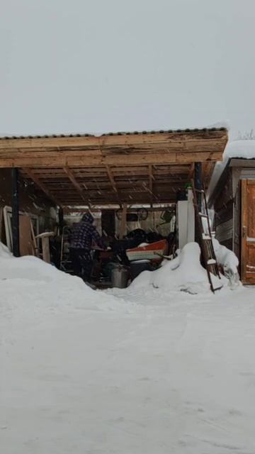 Намело дофига ❄️☃️ #снежныйангел #снежныйдень #снежныйденечек_зима смотреть онлайн