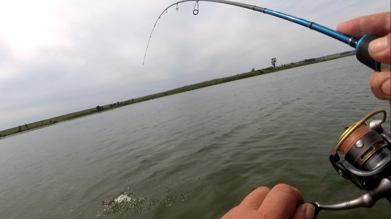 ПРИШЛОСЬ ЛОВИТЬ ЕЁ 2 РАЗА, УДРАВШАЯ ЩУКА смотреть онлайн