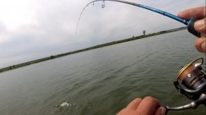 ПРИШЛОСЬ ЛОВИТЬ ЕЁ 2 РАЗА, УДРАВШАЯ ЩУКА